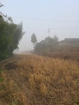 原乡风景