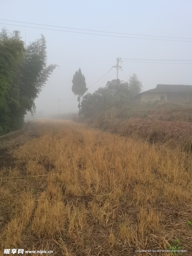 原乡风景