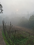 原乡风景