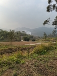 原乡风景