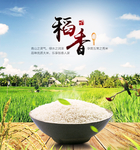 稻香大米宣传海报
