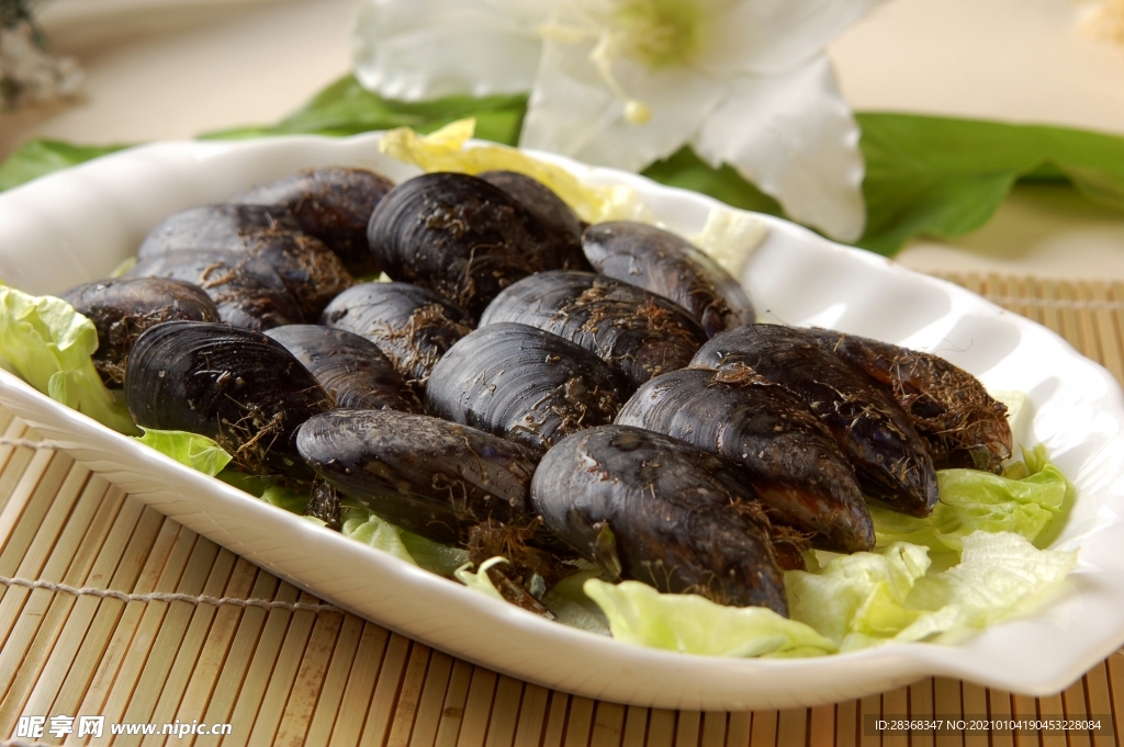 营养美食摄影