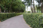 公园小路