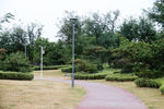 公园景观