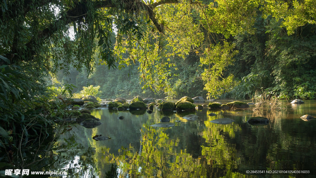 风景