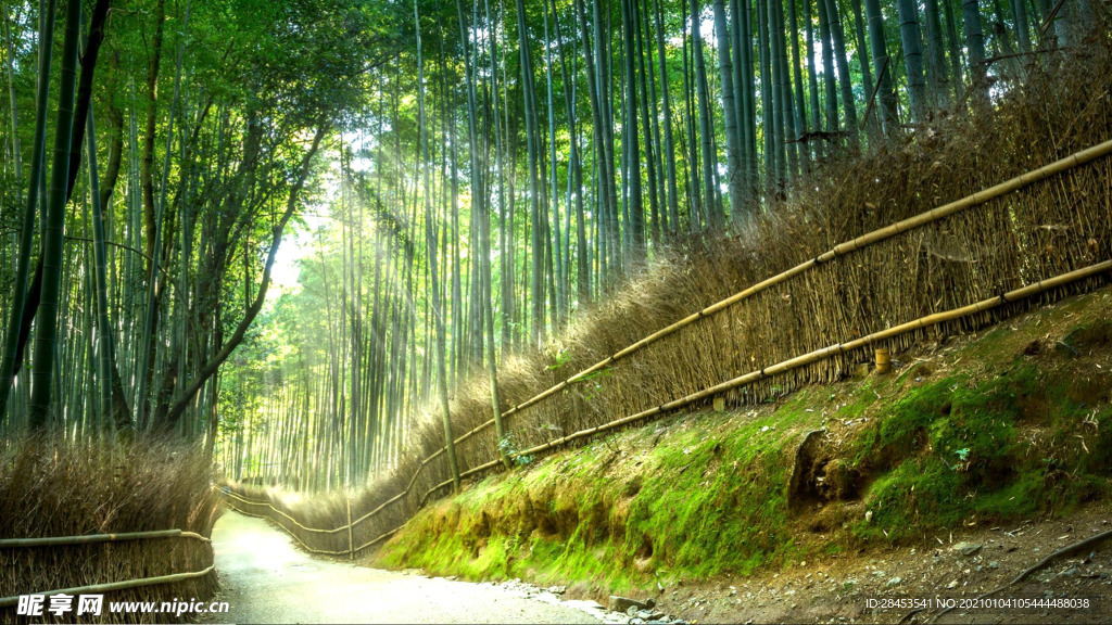 风景