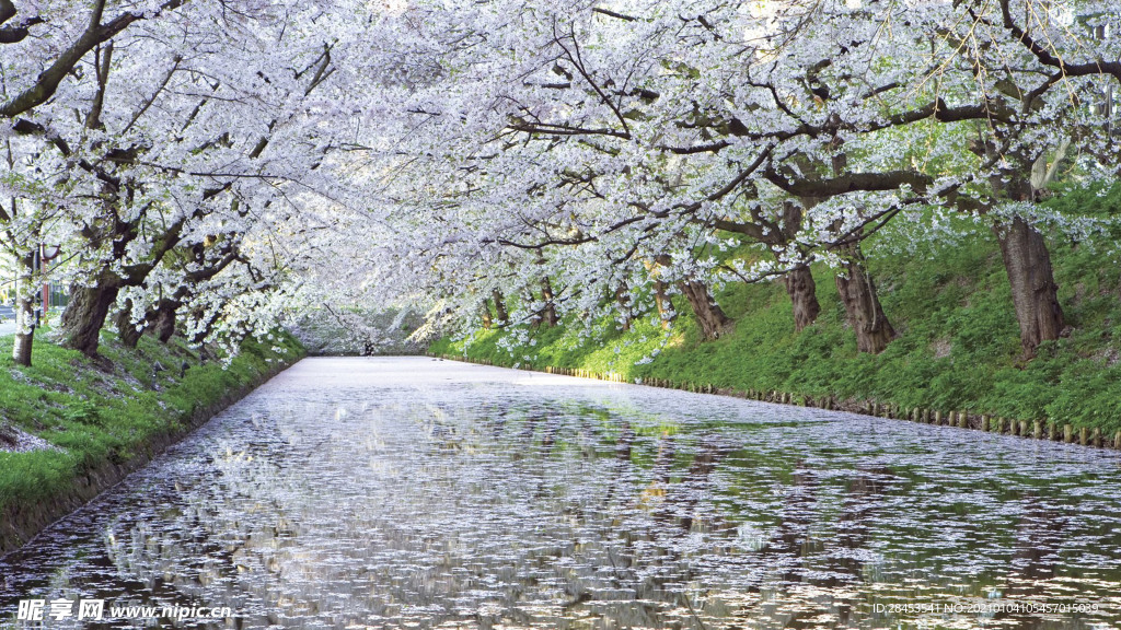 风景