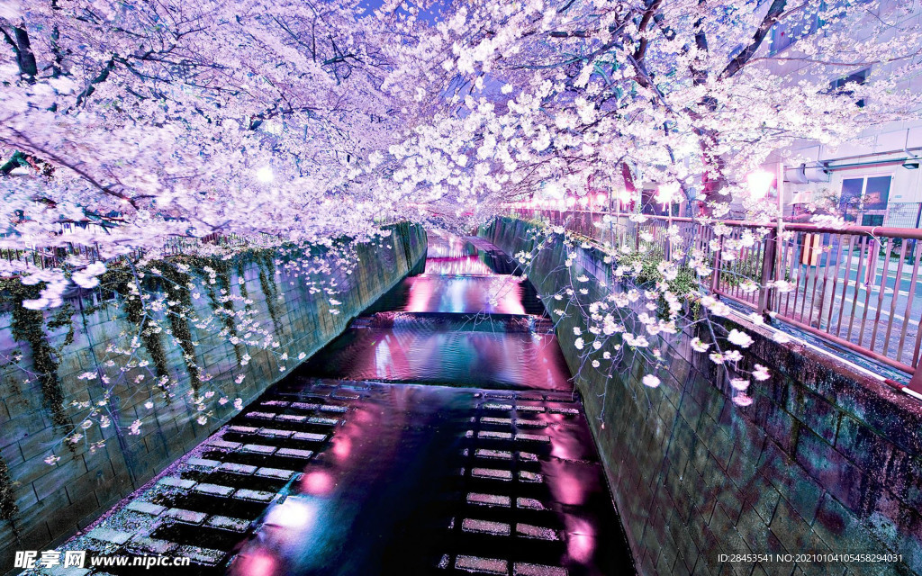 风景