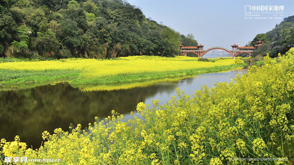 风景