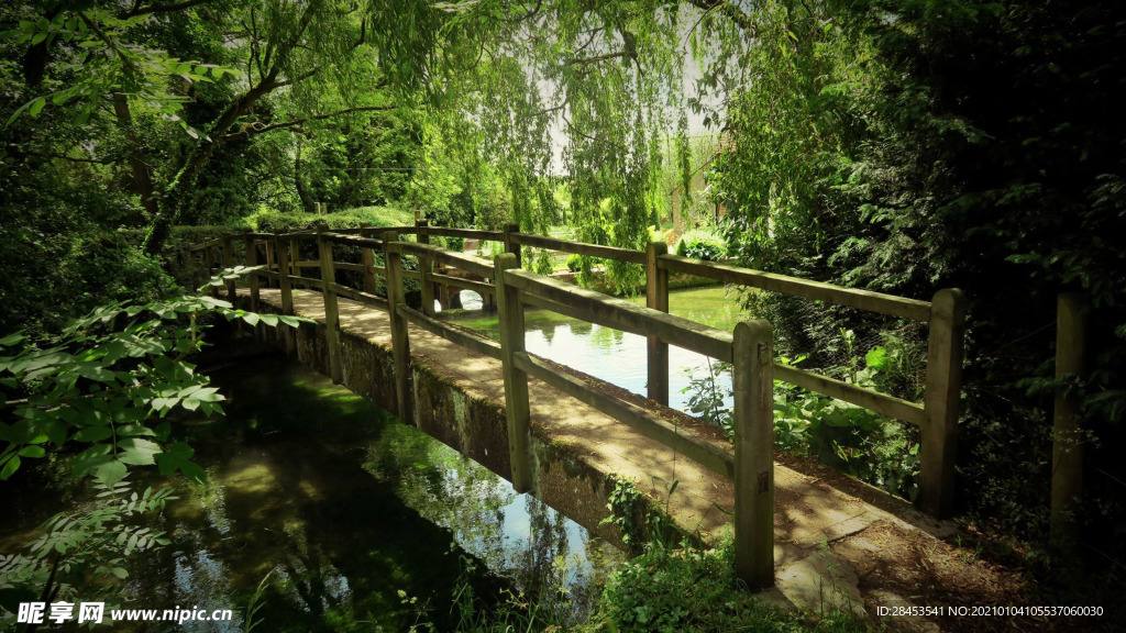 风景
