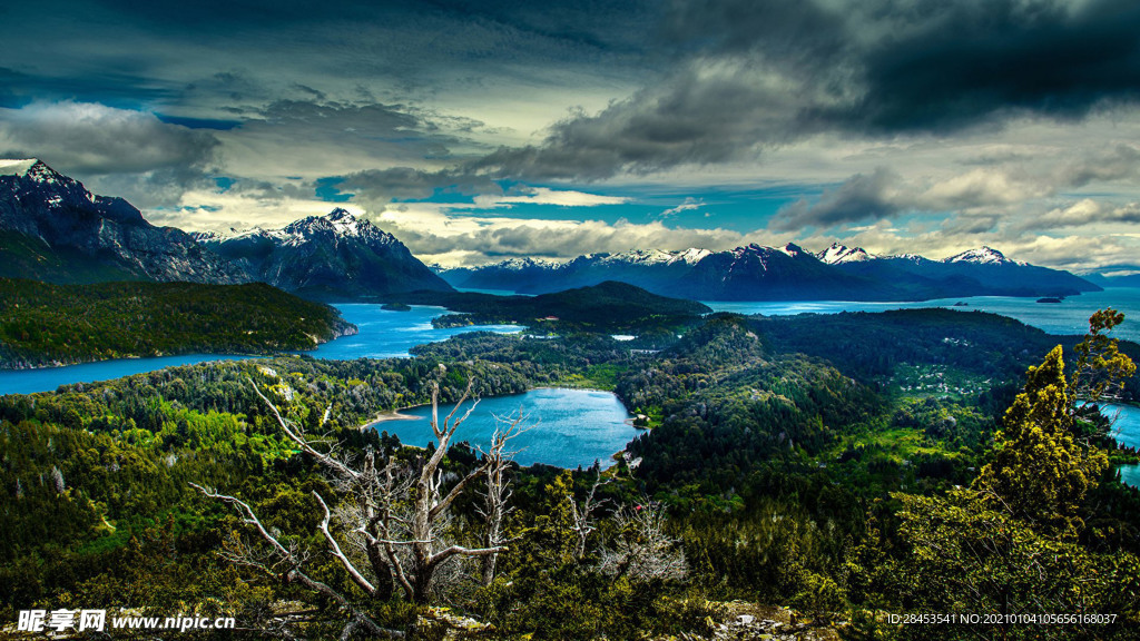 风景