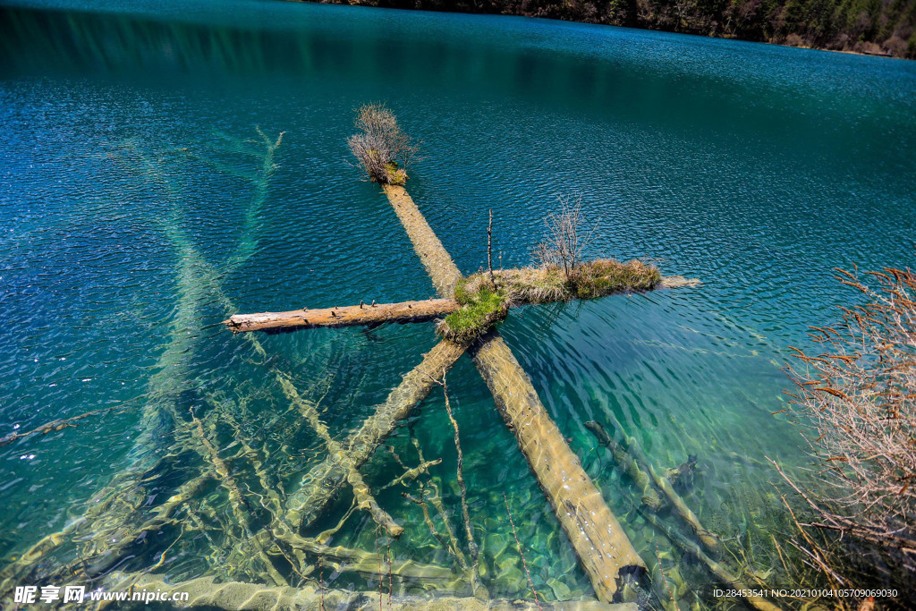 风景
