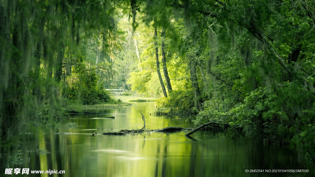 风景