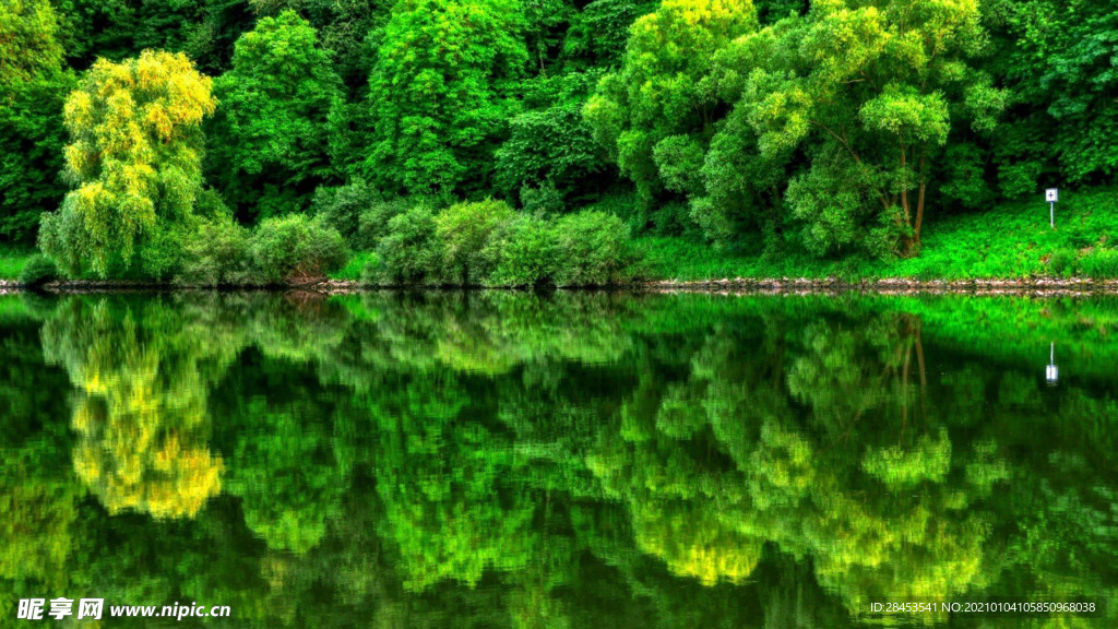 风景