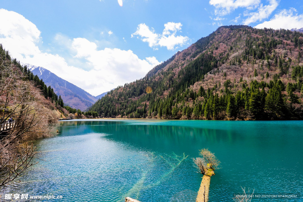 风景