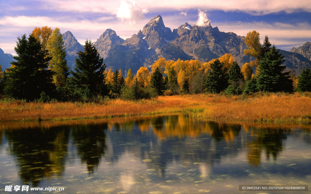 风景