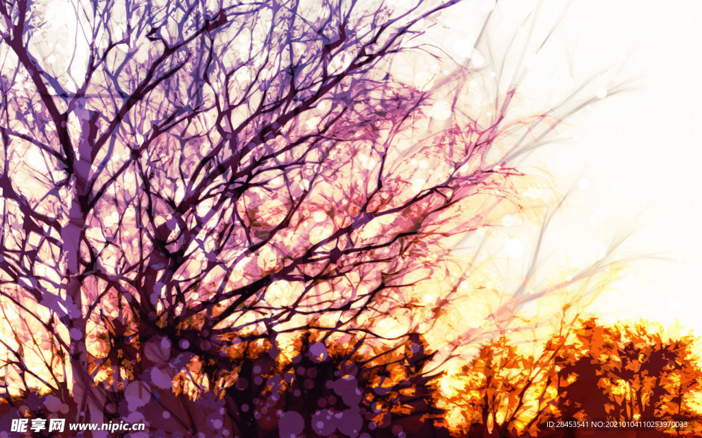 夕阳