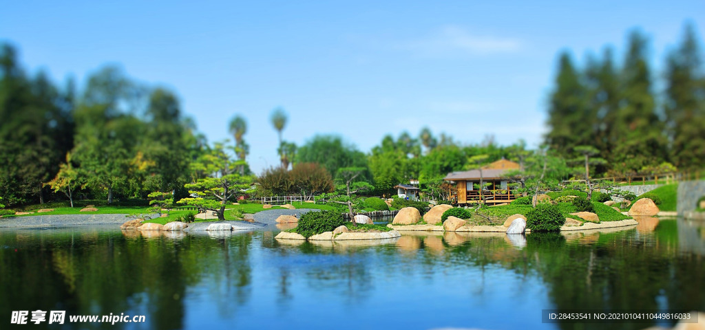 风景