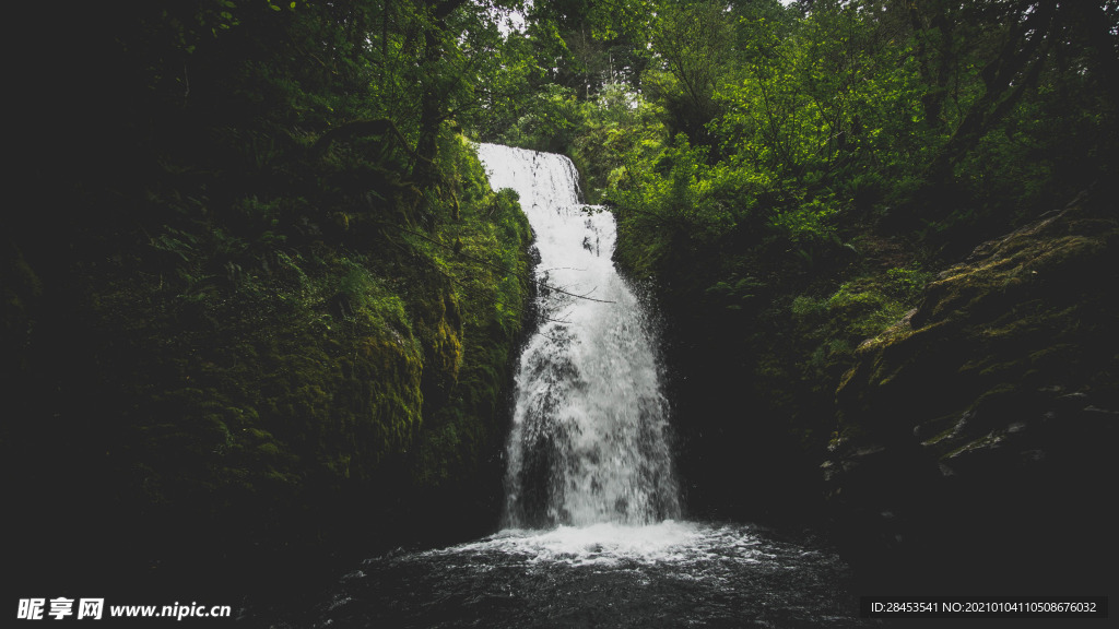 风景
