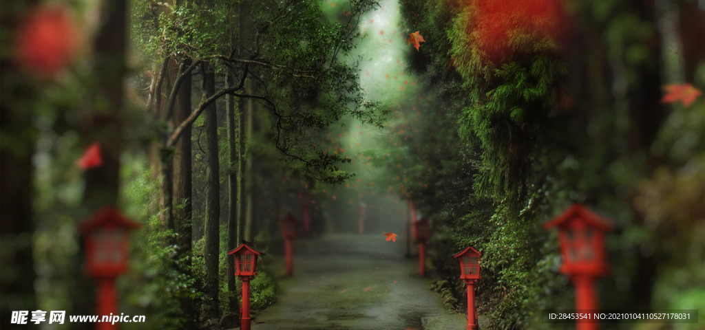 风景