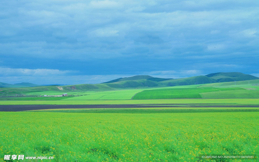 风景