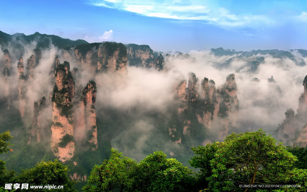 风景