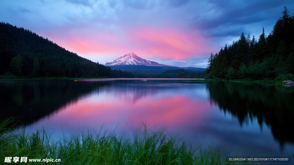 风景