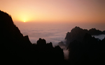 风景