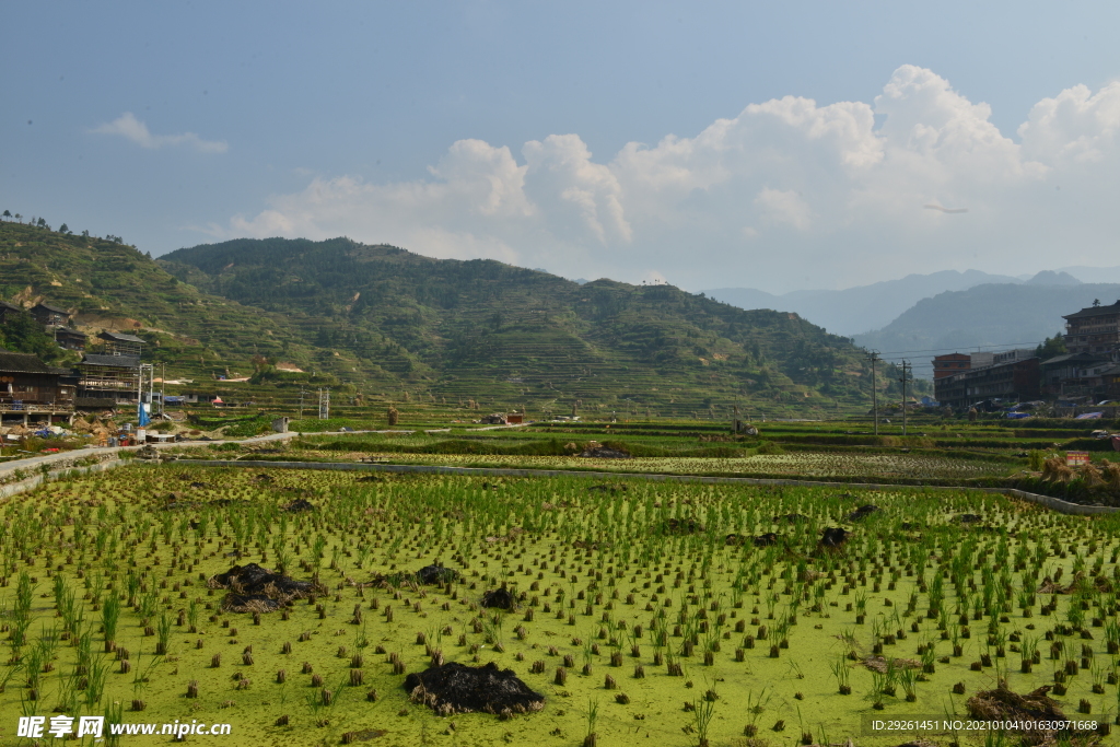 山川脚下的梯田