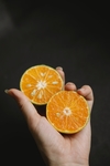 桔子橘子