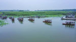 东平湖湿地