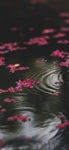 唯美湖水图片