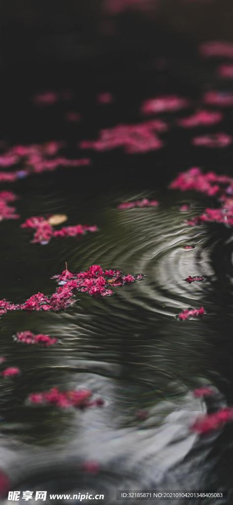 唯美湖水图片