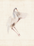 装饰画