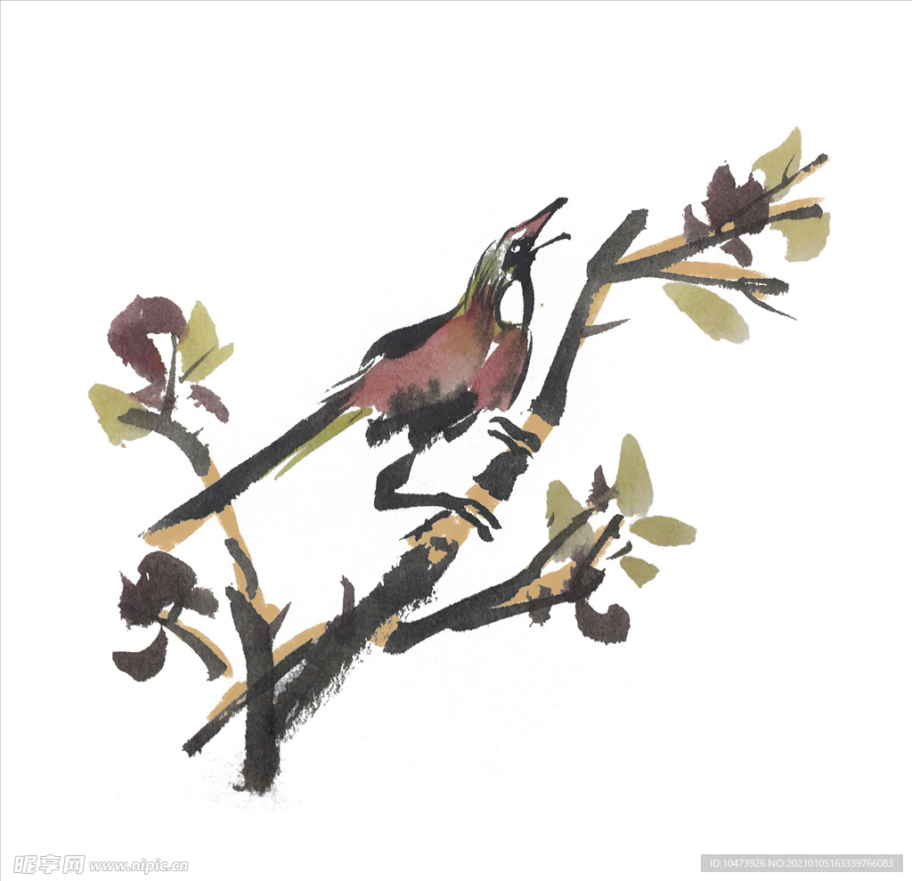 花鸟插画素材