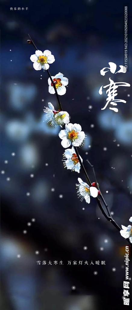 小寒节气海报