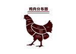 矢量鸡肉块状分布图