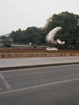 鲸鱼