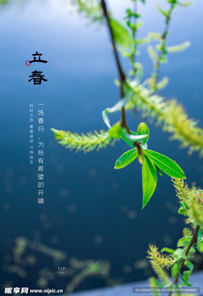 立春