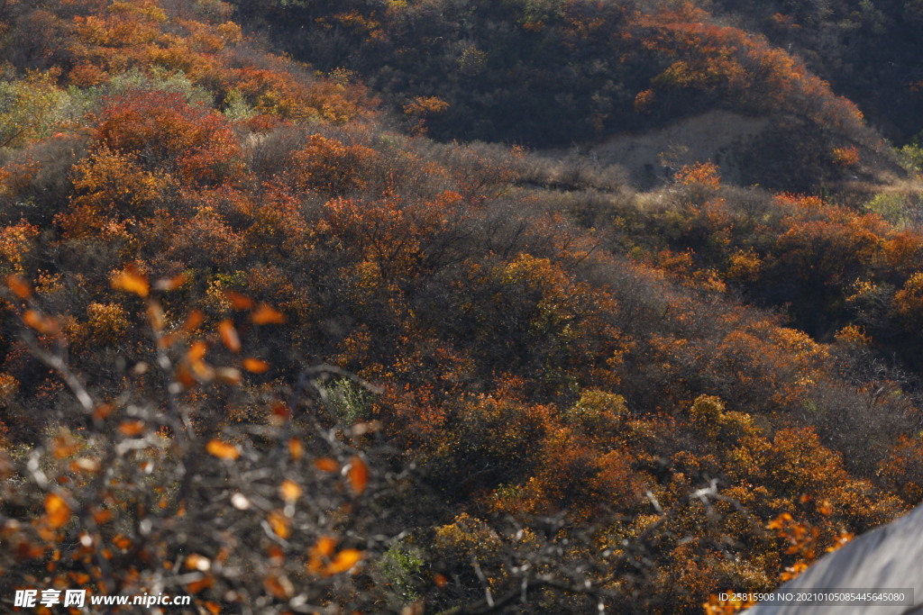 香山