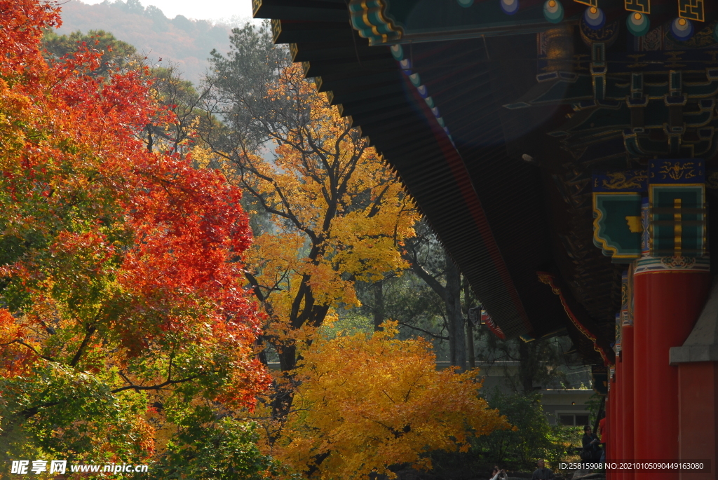 香山