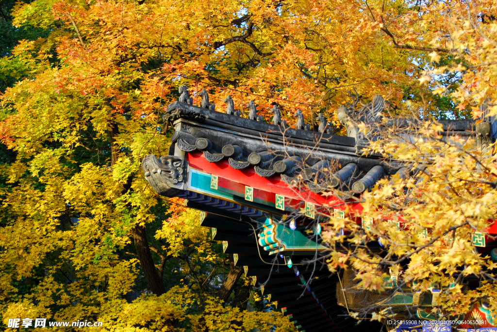 香山