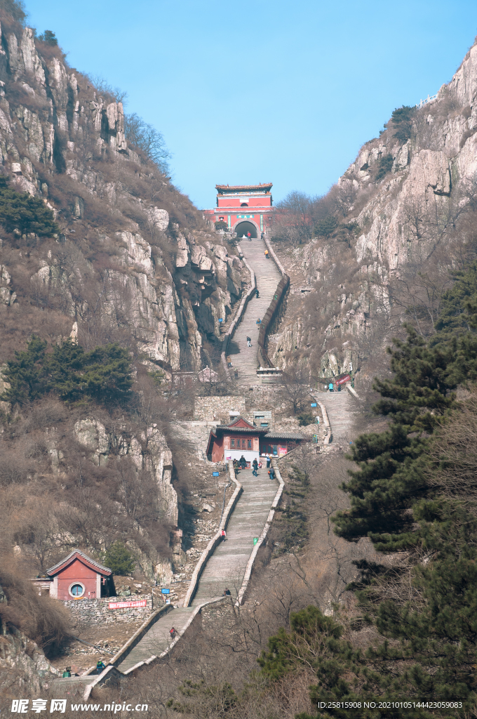 泰山