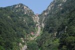 泰山