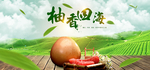 红心柚子店铺首页