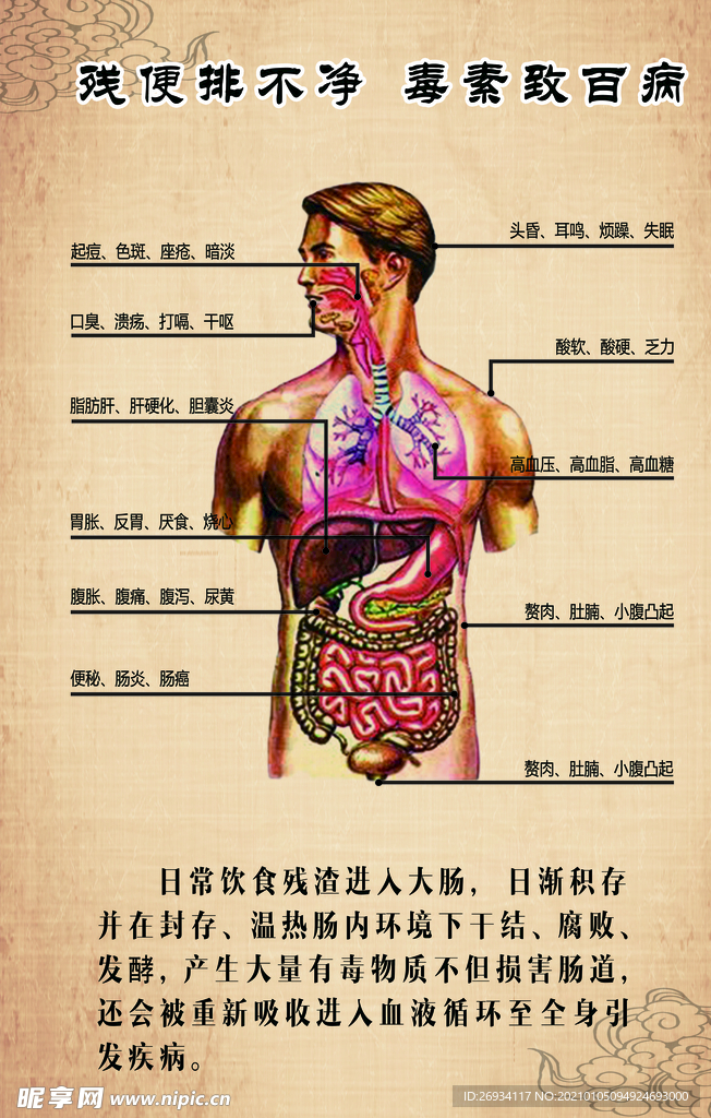 肠道排毒