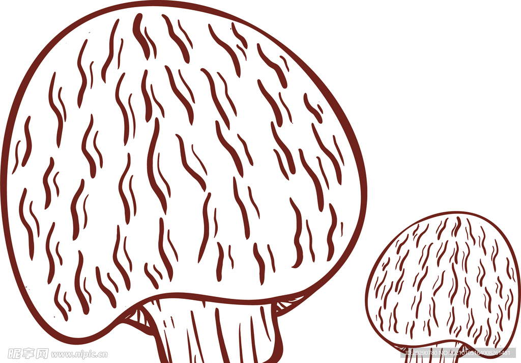 猴头菇 菌菇 线描 元素 线稿