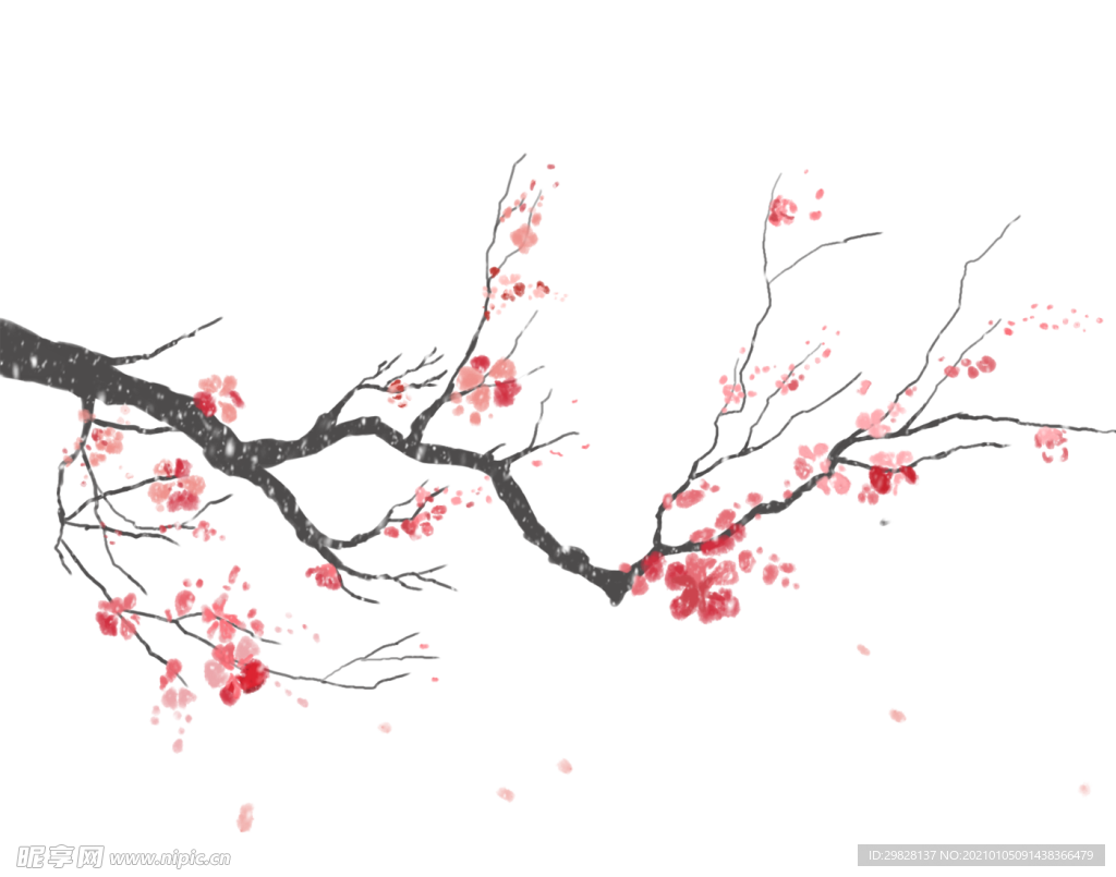 梅花