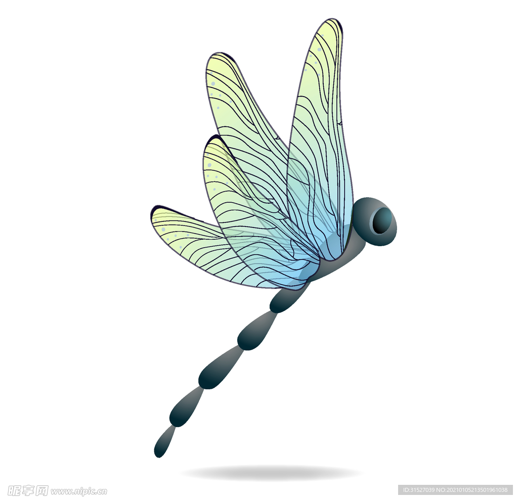 美丽的蜻蜓插画