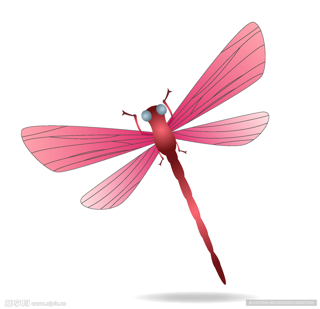 粉色蜻蜓插画